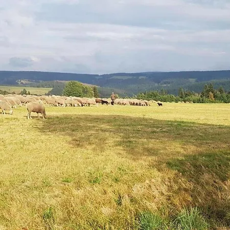 Wellness With Garden