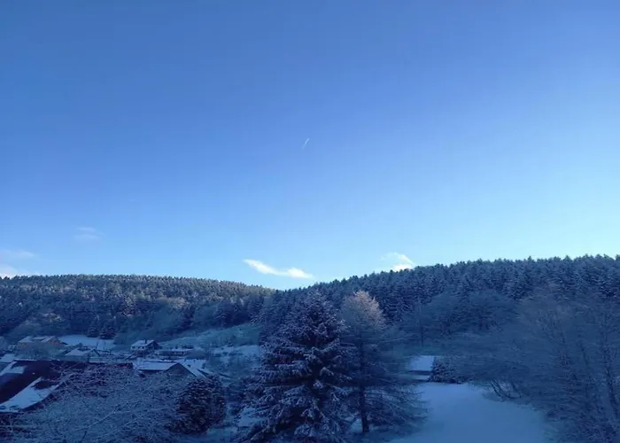 Wellness Home With Garden