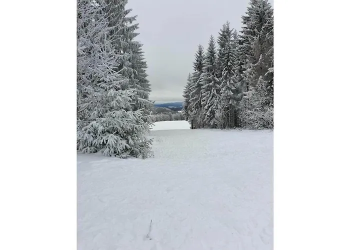 Wellness Home With Garden * Schnett