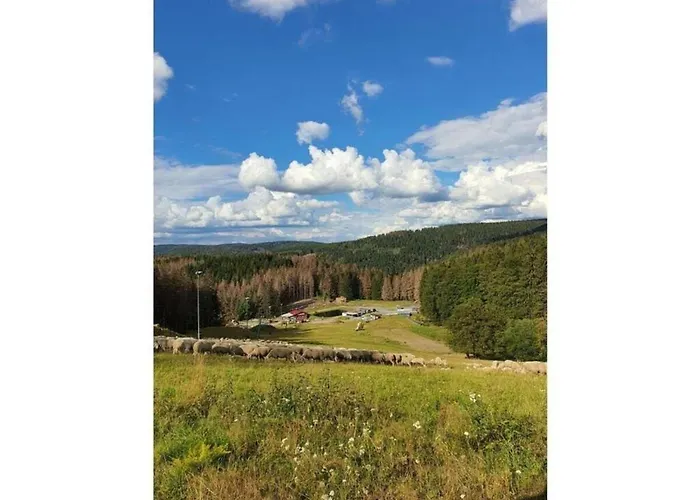 Wellness Home With Garden Schnett